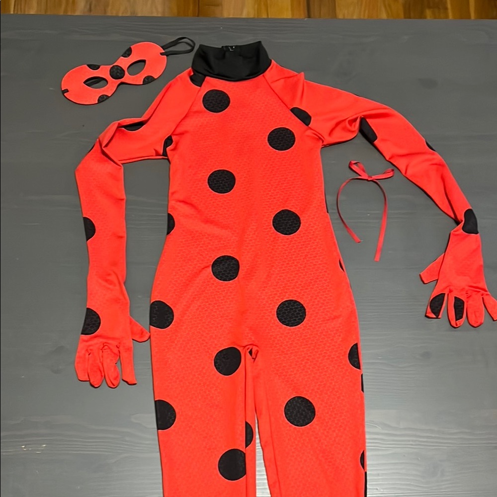 Miraculous ladybug Red and Black Costume